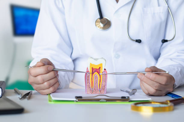 Best Cosmetic Emergency Dentistry in Tyndall, SD